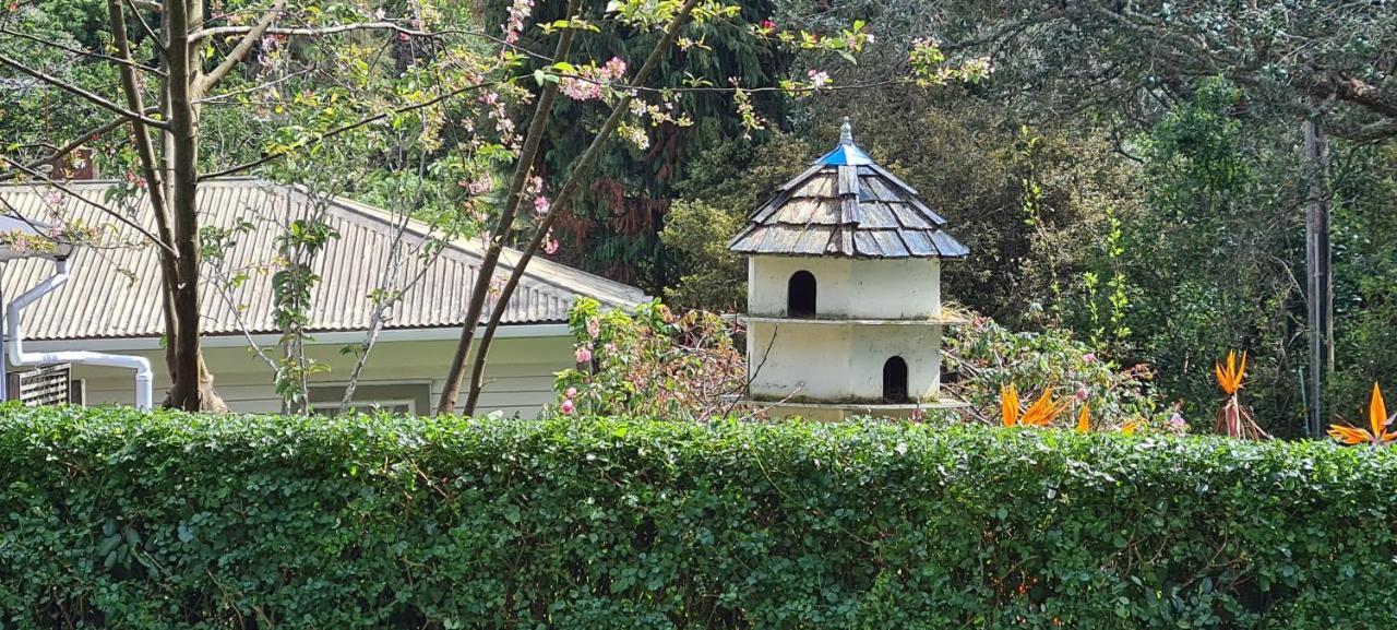 Bed and Breakfast Dovecote House Окленд Экстерьер фото